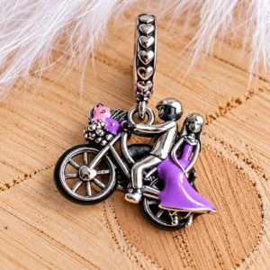 Szerelmespár biciklin charm